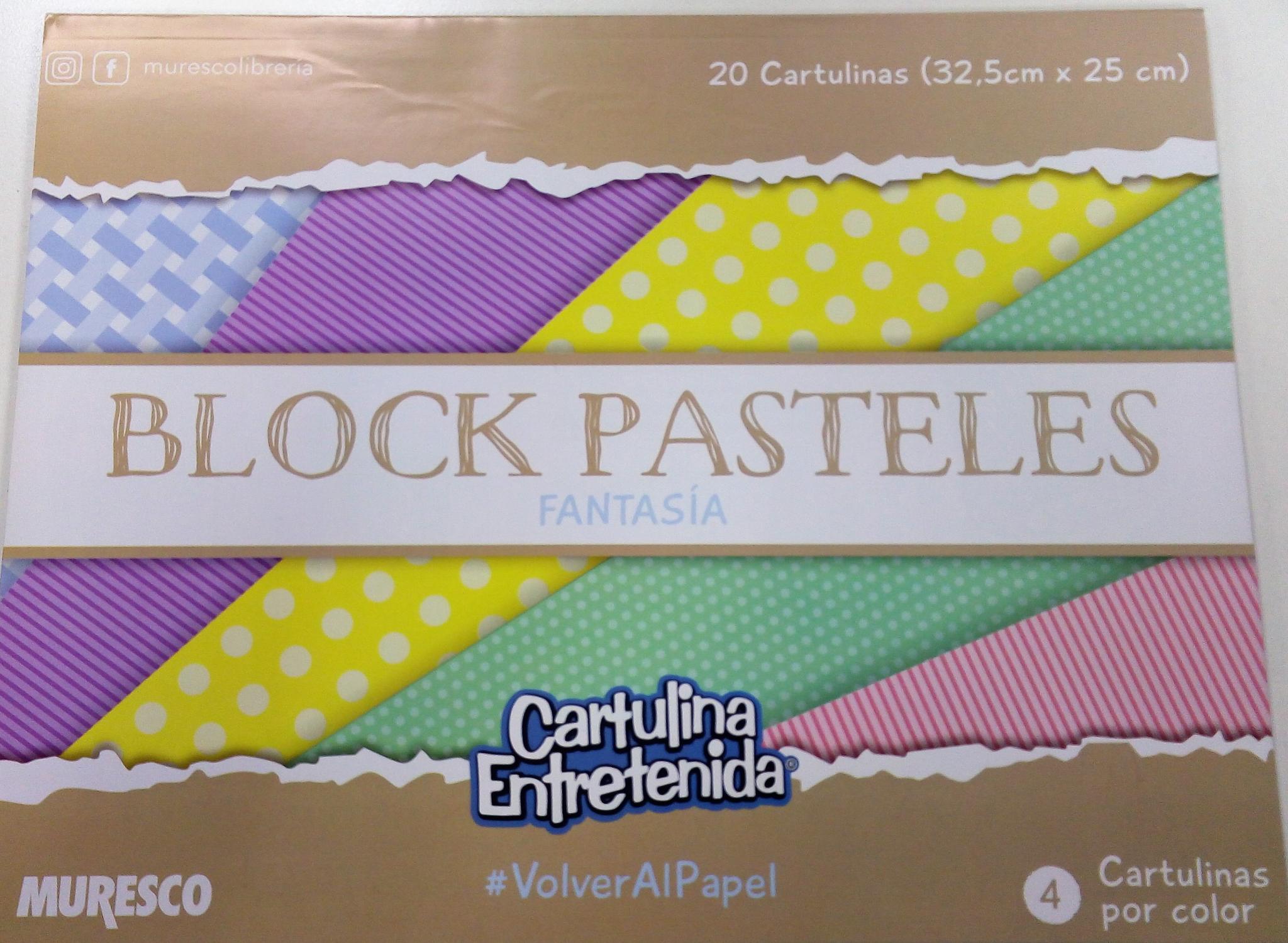 BLOCK CARTULINA ENTRETENIDA 32,5 X 25 CM X 20 HS PASTEL FTSIA