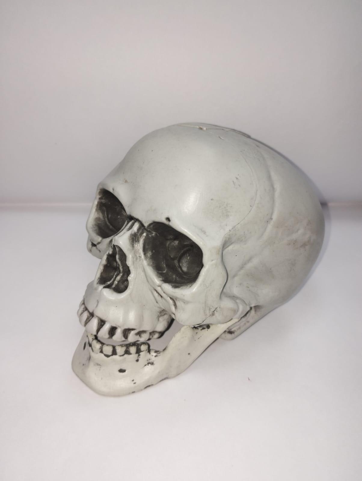 HALLOWEEN CALAVERA DECO-DH5570