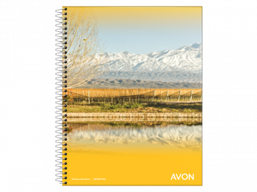 CUADERNO 29.7 AVON 84 HS CUADRICULADO C/ESP  100783