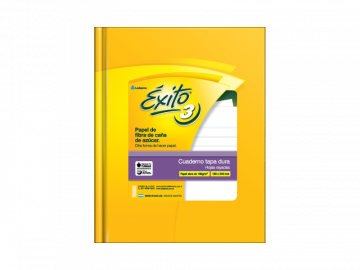 CUADERNO 19 X 24 EXITO T/D 100 HS RAYADO N° 3 101957