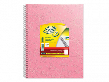 CUADERNO 21 X 27 EXITO COLEGIAL ARAÑA ROSA 60 HS RAYADO C/ESP-102577