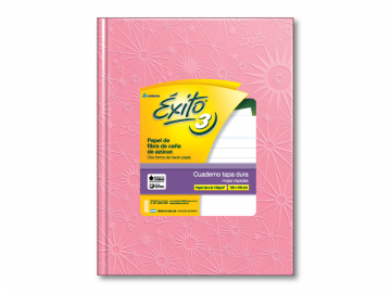 CUADERNO 19 X 24 EXITO ARAÑA ROSA 100 HS T/D RAYADO Nº 3