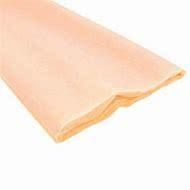 PAPEL CREPE CREPING X 10 UN SALMON