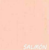 CARTULINA COLOR MURESCO SALMON X 20 HS