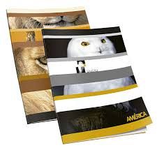 CUADERNO T/F 48 HS AMERICA RAYADO 238544