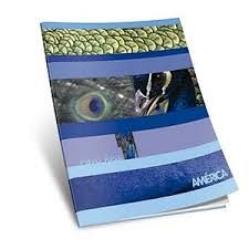 CUADERNO T/F 48 HS AMERICA LISO 238560