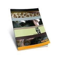 CUADERNO T/F 24 HS AMERICA LISO 237637