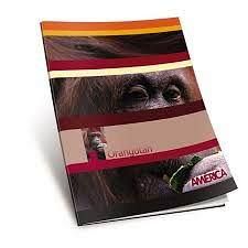 CUADERNO T/F 24 HS AMERICA CUADRICULADO 237629